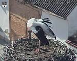 Capi_Dubne_20250403_161503.jpg