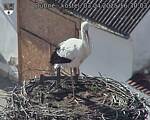 Capi_Dubne_20250403_163003.jpg