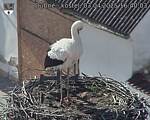 Capi_Dubne_20250403_164003.jpg
