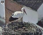 Capi_Dubne_20250403_164502.jpg