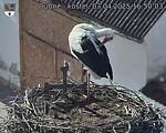 Capi_Dubne_20250403_165003.jpg