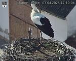Capi_Dubne_20250403_171004.jpg