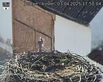 Capi_Dubne_20250403_175004.jpg