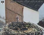 Capi_Dubne_20250403_180002.jpg