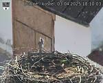 Capi_Dubne_20250403_181003.jpg