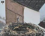 Capi_Dubne_20250403_182002.jpg