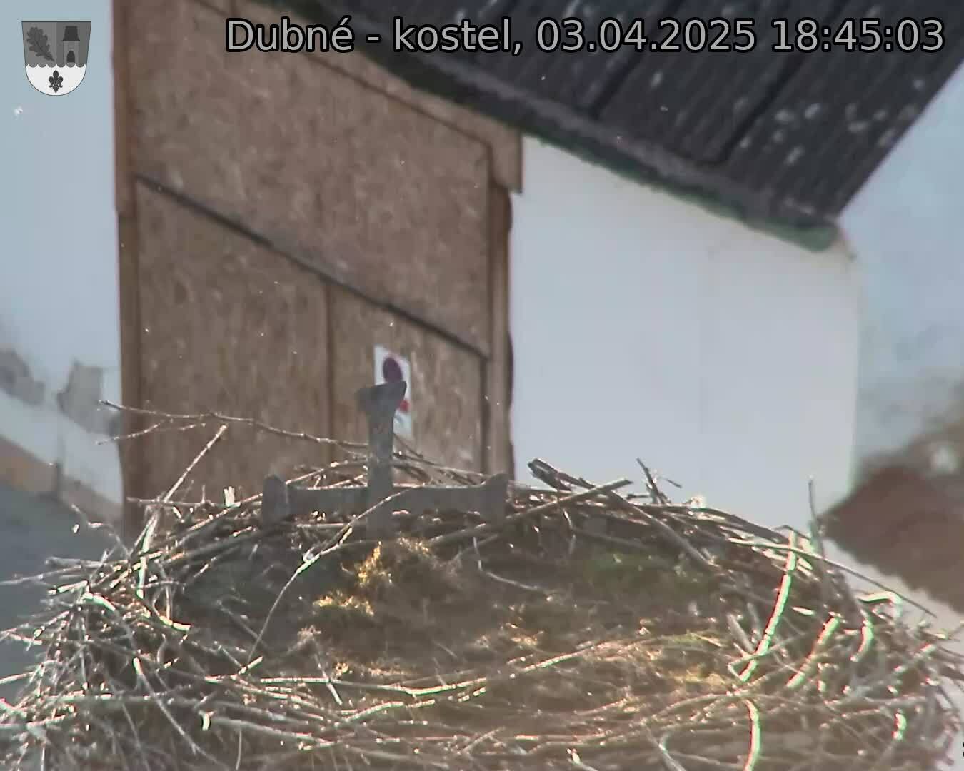 Capi_Dubne_20250403_184503.jpg (1350 x 1080)