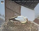 Capi_Dubne_20250403_185003.jpg