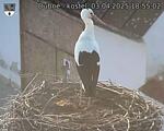 Capi_Dubne_20250403_185502.jpg