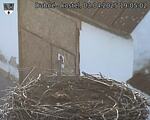 Capi_Dubne_20250403_190502.jpg