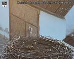 Capi_Dubne_20250403_192003.jpg