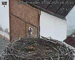 Capi_Dubne_20250403_193503.jpg