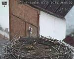 Capi_Dubne_20250403_194502.jpg
