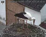 Capi_Dubne_20250403_195002.jpg