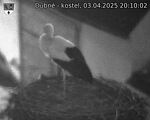 Capi_Dubne_20250403_201002.jpg