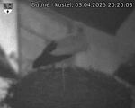 Capi_Dubne_20250403_202003.jpg
