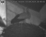 Capi_Dubne_20250403_204502.jpg