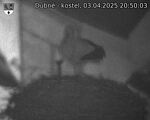 Capi_Dubne_20250403_205003.jpg
