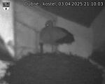 Capi_Dubne_20250403_211003.jpg