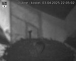 Capi_Dubne_20250403_220502.jpg