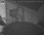 Capi_Dubne_20250403_231002.jpg