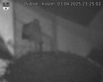 Capi_Dubne_20250403_232502.jpg