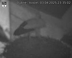 Capi_Dubne_20250403_233502.jpg