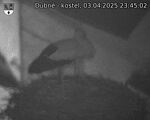 Capi_Dubne_20250403_234502.jpg