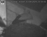 Capi_Dubne_20250403_235502.jpg