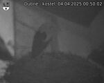 Capi_Dubne_20250404_005002.jpg