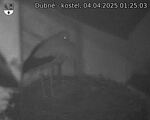 Capi_Dubne_20250404_012503.jpg
