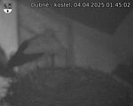 Capi_Dubne_20250404_014502.jpg