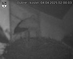 Capi_Dubne_20250404_020003.jpg