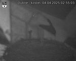 Capi_Dubne_20250404_025503.jpg