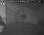 Capi_Dubne_20250404_033002.jpg