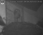 Capi_Dubne_20250404_033502.jpg