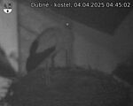 Capi_Dubne_20250404_044502.jpg