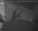 Capi_Dubne_20250404_045002.jpg