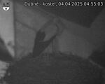 Capi_Dubne_20250404_045503.jpg