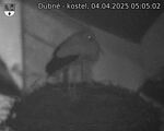 Capi_Dubne_20250404_050502.jpg