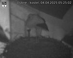 Capi_Dubne_20250404_052502.jpg