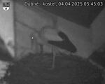 Capi_Dubne_20250404_054503.jpg