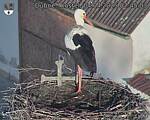 Capi_Dubne_20250404_074503.jpg