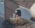 Capi_Dubne_20250404_075502.jpg