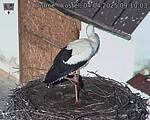 Capi_Dubne_20250404_091003.jpg