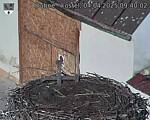 Capi_Dubne_20250404_094002.jpg