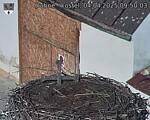 Capi_Dubne_20250404_095003.jpg