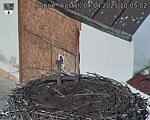 Capi_Dubne_20250404_100502.jpg
