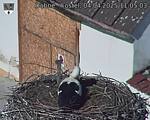 Capi_Dubne_20250404_110503.jpg