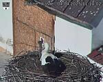 Capi_Dubne_20250404_111002.jpg